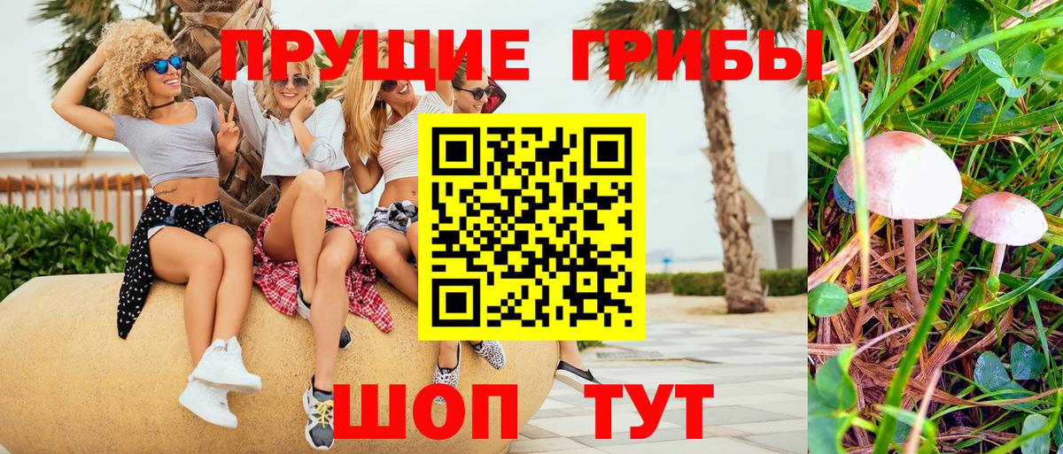 Псилоцибиновые грибы MAGIC MUSHROOMS  Вход с VPN  Южноуральск 